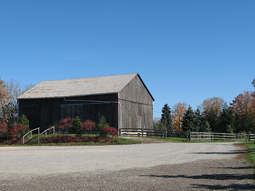 Trillium Hunter Jumper A Circuit Barn Toronto Hunter Jumper Lessons Training Horseback Riding Lessons Caledon Gordonhurst Equestrian Centre 