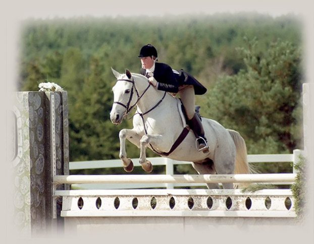 Gordonhurst Equestrian Centre Hunter Jumper Lessons Training Horseback Riding Lessons Caledon Equestrian Coaching Toronto Trillium A Circuit Hunter Jumper Stable Caledon Ontario